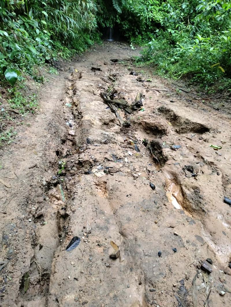 รูปภาพ 2