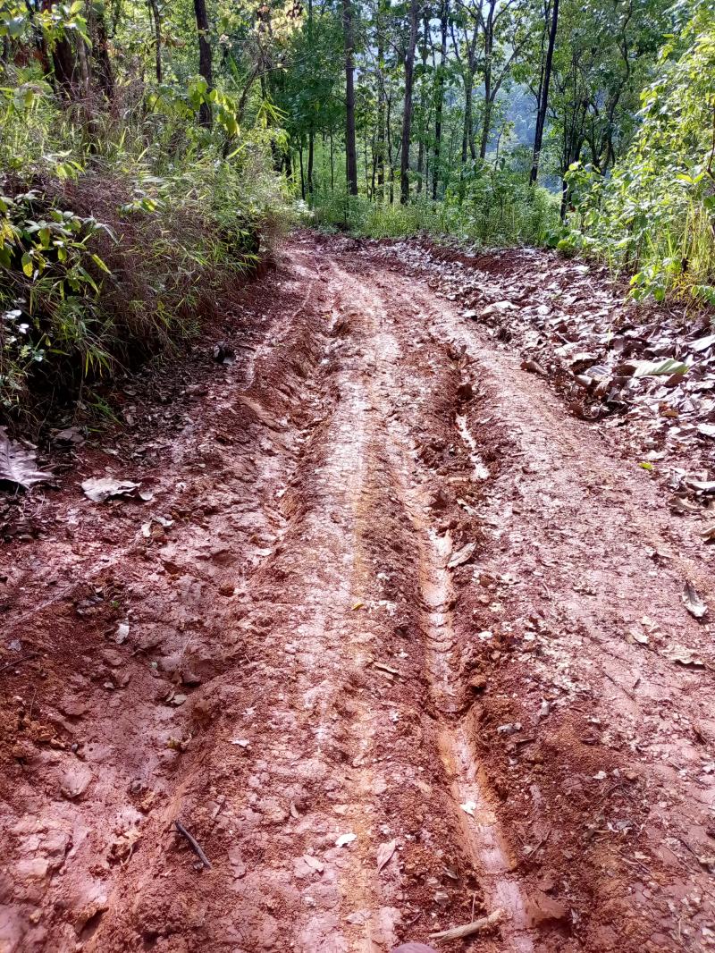 รูปภาพ 2