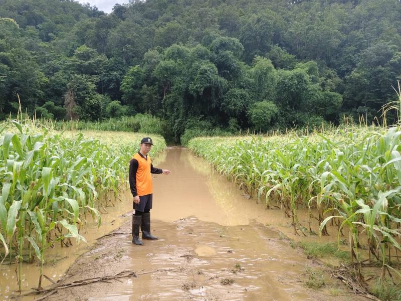 รูปภาพ 3