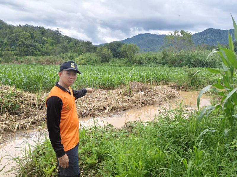 รูปภาพ 8