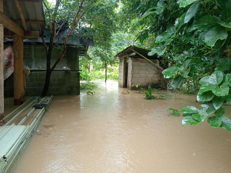 รูปภาพ 2