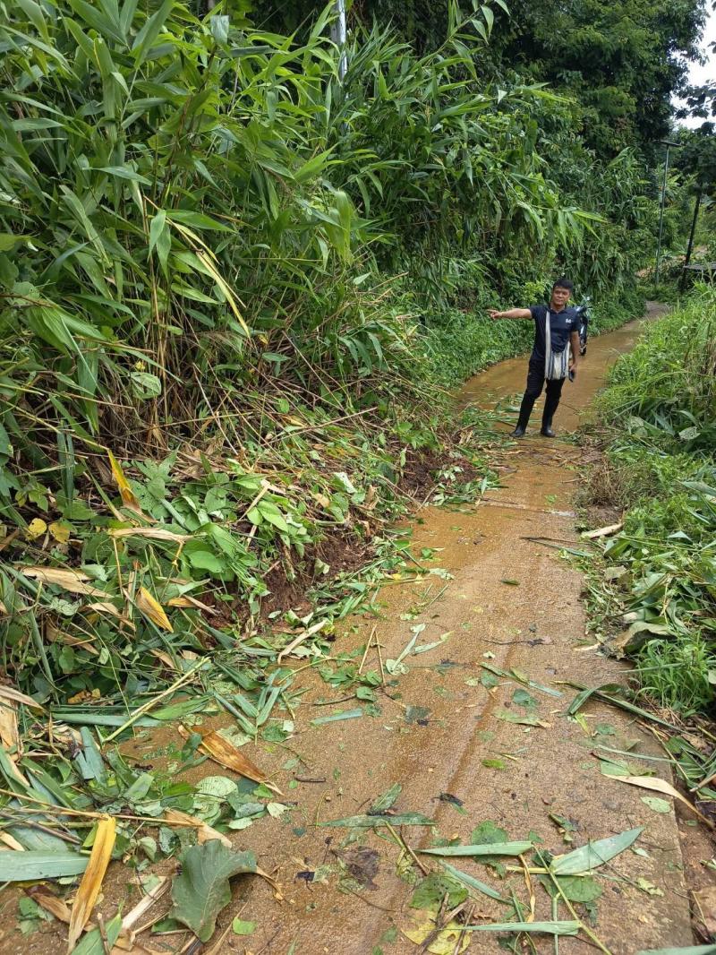 รูปภาพ 1